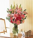 Marvelous Pinks