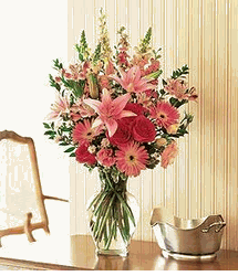 Marvelous Pinks