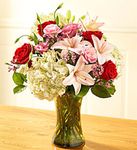 Mixed bouquet of the freshest roses, 