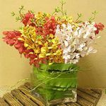 Mixed color orchids