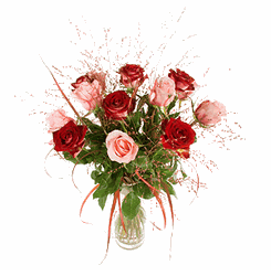 Mixed color roses 