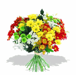 Mixed flowers