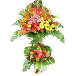 Mixed flowers arrangements Grand opening
