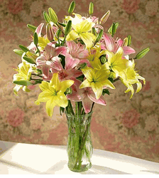 Mixed Lilies