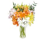Mixed Lilies bouquet