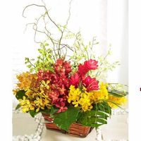 Mixed orchids arrangements 