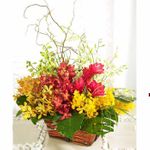 Mixed orchids arrangements 