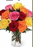 Mixed Roses