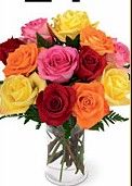 Mixed Roses