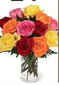 Mixed Roses