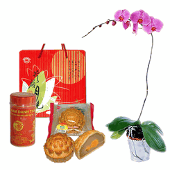 Moon Cake , Tea and Orchids