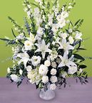 Morning Stars Arrangement