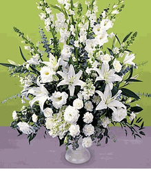 Morning Stars Arrangement