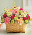 Mothers day Bountiful Basket