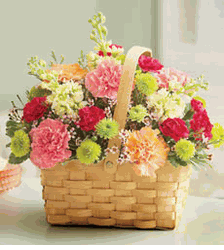 Mothers day Bountiful Basket