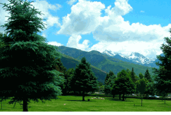 Mountain View Memorial Mortuary