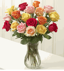 Multicolored Roses,