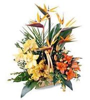 Natural garden basket 