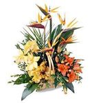 Natural garden basket 