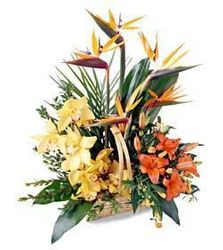 Natural garden basket 