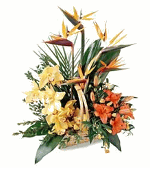 Natural garden basket 