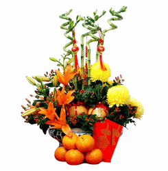 New Year Arrangements