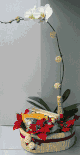  New Year gifts Orchid Plants Decor