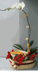  New Year gifts Orchid Plants Decor