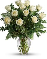 a dozen white rose sympathy