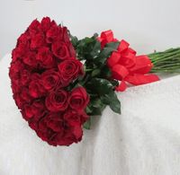 Red Rose