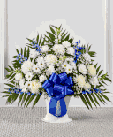 Blue & White Sympathy 