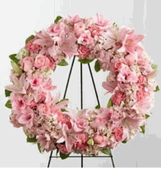 Hoa mau pink vong trong 