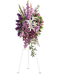 Click to enlarge