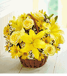 Vietnam Florist Hoa Dam Tang Nha Quan Forest Park Lawndale Houston, TX 