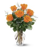 NhaTrang Flowers  & Florist In Nhatrang , VietNam VN, 