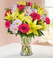  Vietnamese  San Jose, California (CA) Florists, Flower Shop Oak Hill 