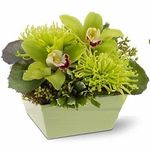Office flowers