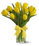 Vietnamese Florist Funeral Dich vu Hoa Tuoi Ohama, NE