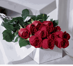 One Dozen Boxed Roses