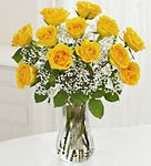 One Dozen Long Stem Yellow Roses