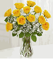 One Dozen Long Stem Yellow Roses