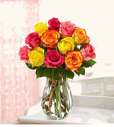 One Dozen Multicolored Roses 