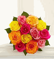 One Dozen Multicolored Roses 
