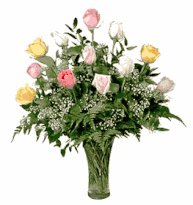 One Dozen premium assorted pastel color roses