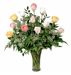 One Dozen premium assorted pastel color roses