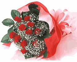 One dozen red roses 