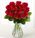 One Dozen Red Roses 