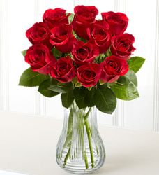 One Dozen Red Roses 