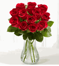 One Dozen Red Roses 