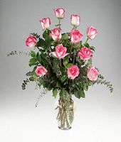 One dozen  roses 